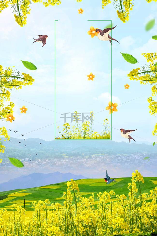 小清新春天你好油菜花风景插画