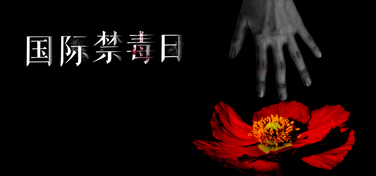 国际禁毒日公益拒绝毒品banner海报