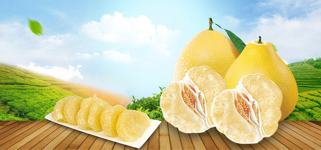 知乎软件主题logo设计素材图片免费下载_高清