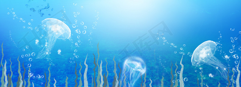 蓝色海底世界生物背景