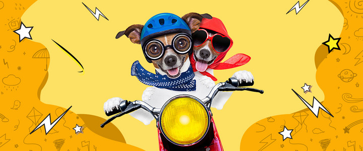 可爱手绘宠物狗猫咪简约海报背景图片免费下载