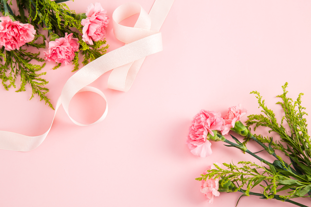母亲节鲜花粉色康乃馨摄影图12背景图片免费下载_海报