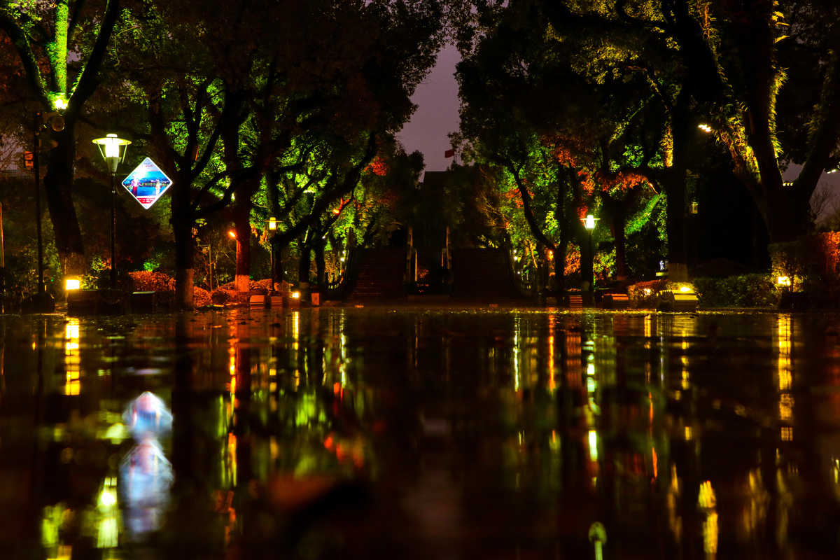 夜晚雨天的风景小路
