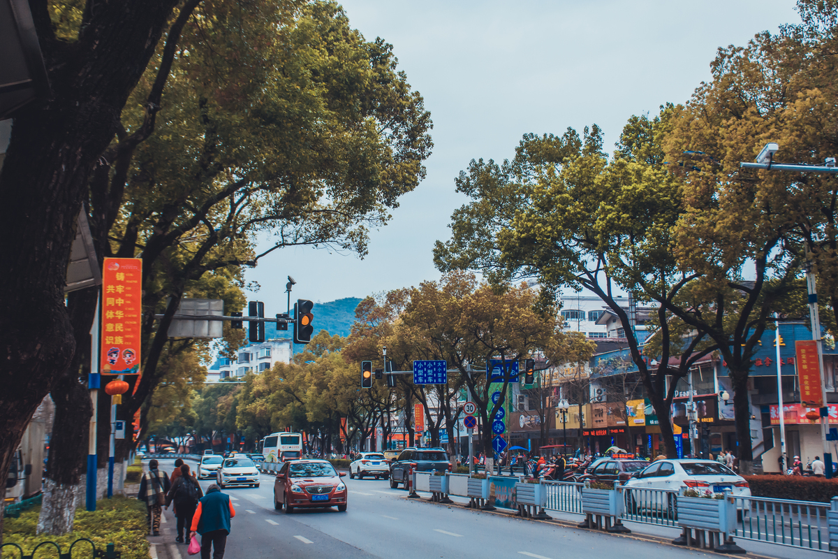 桂林城市种满树的街道马路背景图片免费下载_海报/psd