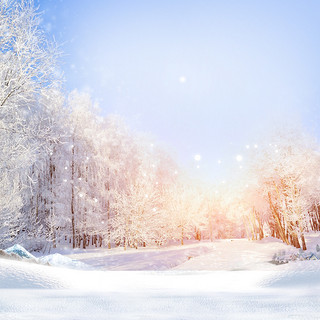 冬季背景图片_冬季大片树林蓝色清新背景