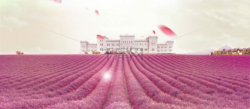 浪漫梦幻花海banner背景图片免费下载_海报b