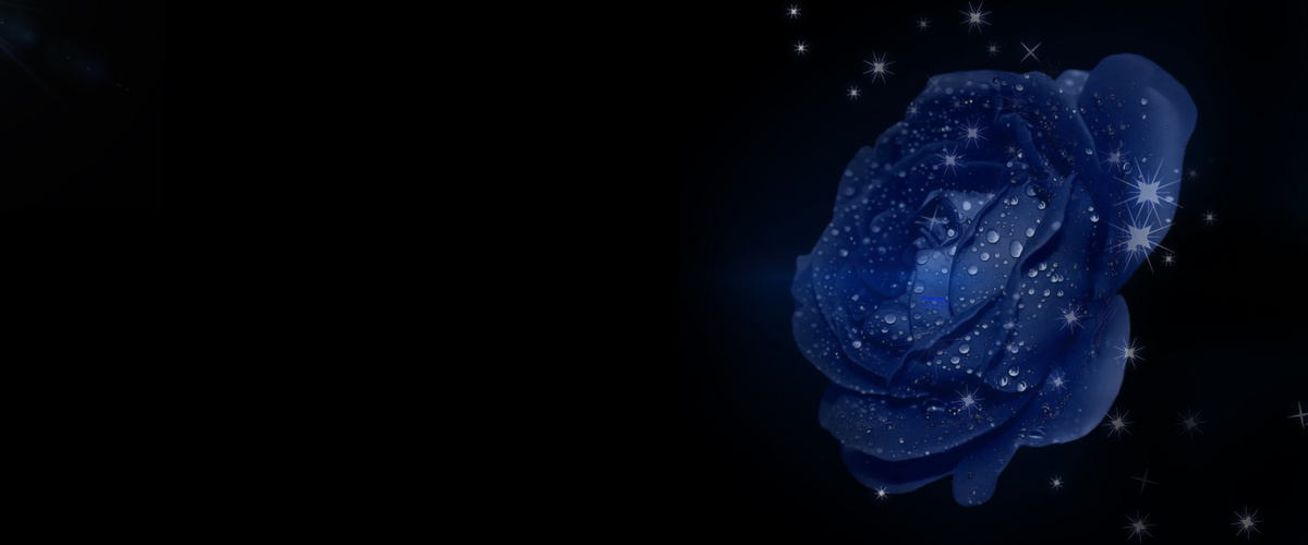蓝色梦幻玫瑰花banner