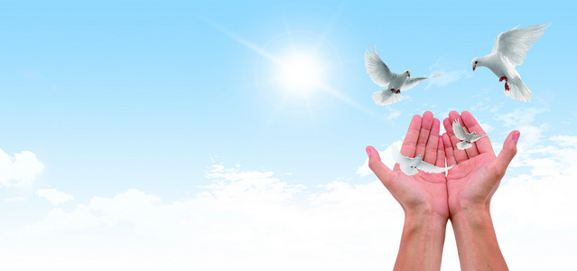 手绘水彩画创意保护海洋公益海报背景素材背景