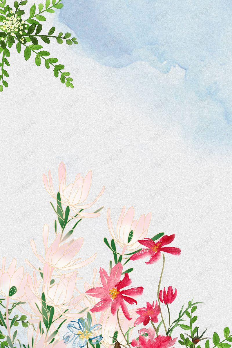 小雏菊花背景图片