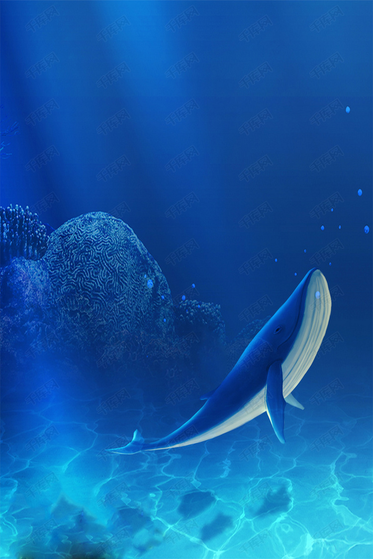 蓝色海底鲸鱼海报背景图