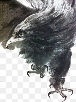 水墨鹰水墨画素材