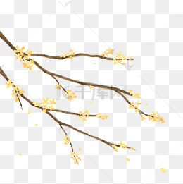古风手绘树枝插画