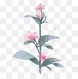 手绘卡通植物花草