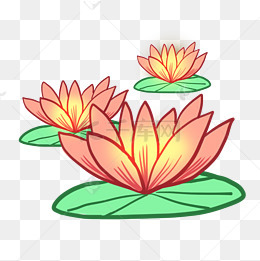 矢量卡通粉色莲花