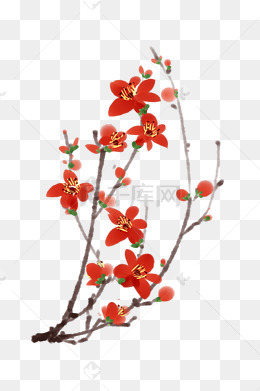 水墨木棉花手绘插画