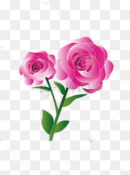 玫瑰花清新粉色可商用元素