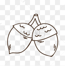 简笔画坚果