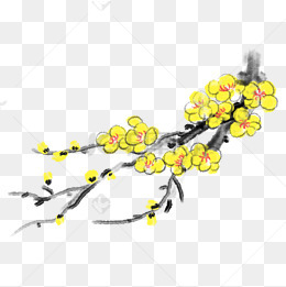 水墨黄色腊梅插画