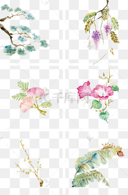 中国古风手绘水彩植物插画
