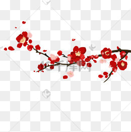 腊梅梅花水墨插图