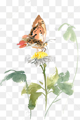 蝴蝶与黄色花朵水彩画png免抠素材