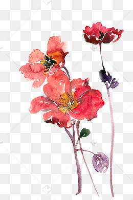 简约红色花朵写实绘画素材图片免费下载-千库网