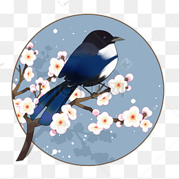 喜鹊梅花喜上眉梢