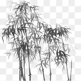 国画水墨中国风竹子