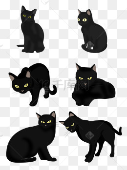 万圣节手绘黑猫卡通可爱恐怖元素套图