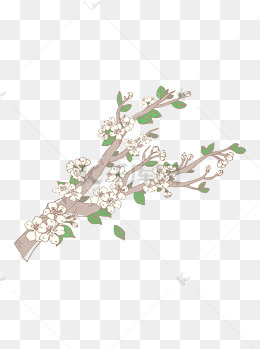 卡通插画风素色花卉送礼会