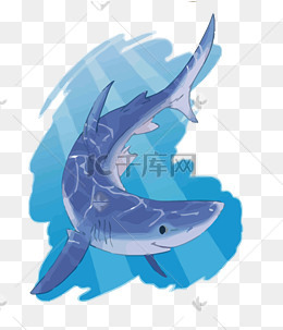 卡通鲨鱼