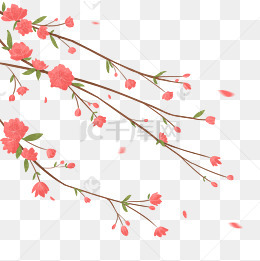 古风手绘树枝插画