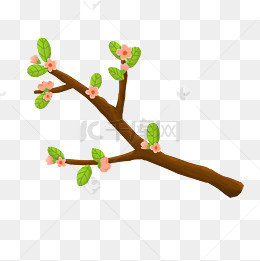 手绘的小草发芽插画