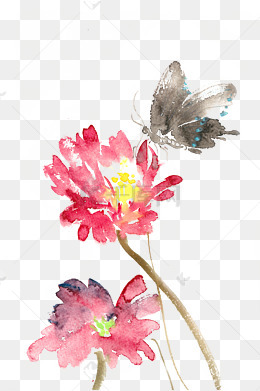 蝴蝶与红花水彩画png免抠素材