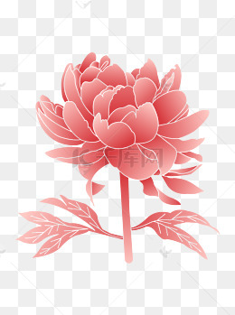 手绘矢量渐变风牡丹花花卉元素