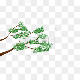 植物松枝绿叶插画