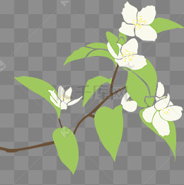 卡通手绘植物插画杏花