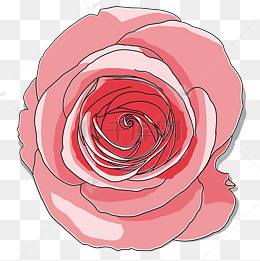 情人节手绘卡通玫瑰花