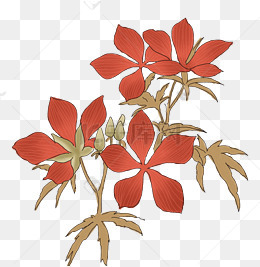 中国风手绘花卉插图