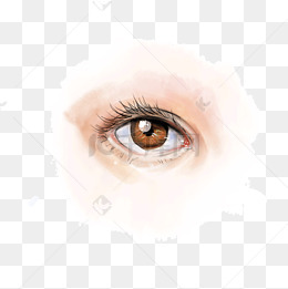 五官 手绘 唯美写实插画 眼睛