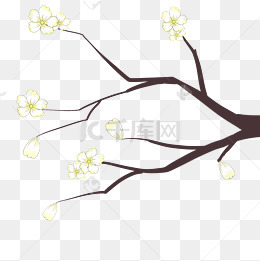 手绘杏花