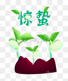 简约可爱绿色树叶小幼苗发芽的叶子