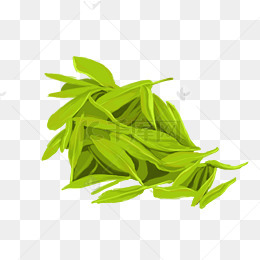手绘中国风龙井茶图