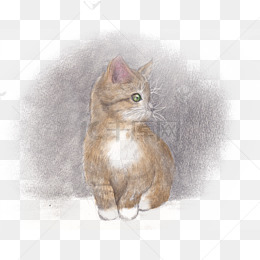 手绘素描小猫咪png素材
