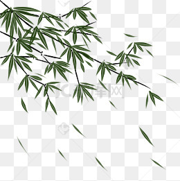 中国风小清新竹叶插画