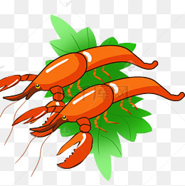 虾虾米大虾小虾虾仁排排虾