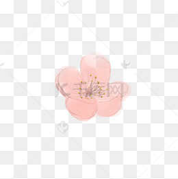 手绘水彩一朵粉色樱花免费下载