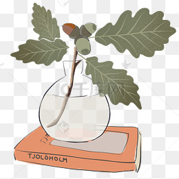 卡通水培植物盆栽免抠图