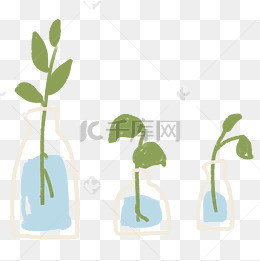 三瓶可爱的水培植物