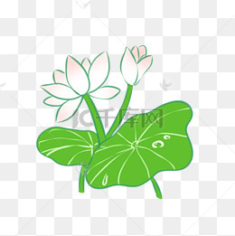 卡通小清新夏日荷花